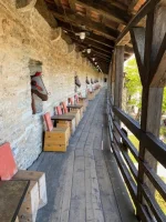 thumbnail_IMG_2933.webp
