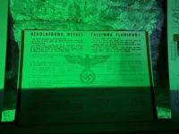 thumbnail_IMG_2955.webp