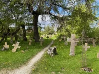 thumbnail_IMG_2982.webp