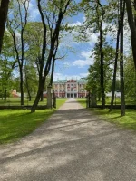 thumbnail_IMG_2998.webp