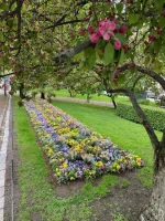 thumbnail_IMG_3061.webp