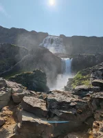 1000020030.webp