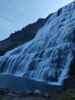 1000020060.webp