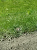 1000020103.webp