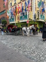 thumbnail_IMG_6822.webp