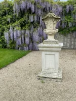 thumbnail_IMG_6755.webp