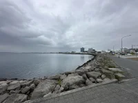 IMG_2077.webp