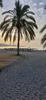 20250808_082654.webp