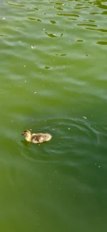 20250810_094051.webp