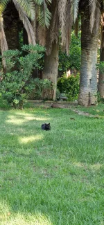 20250810_094226.webp