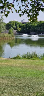 20250810_105214.webp