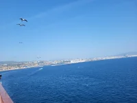 1754852515263.webp