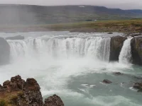1000020230.webp