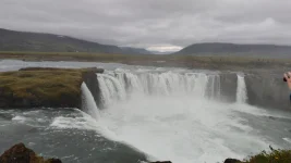 1000020239.webp