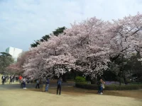 SAM_3462.webp