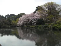 SAM_3472.webp