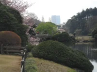 SAM_3473.webp