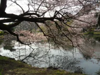 SAM_3475.webp
