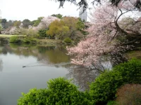 SAM_3476.webp