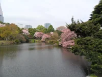 SAM_3481.webp