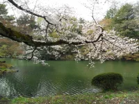 SAM_3491.webp