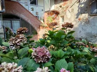 IMG_20250812_101206897_HDR.webp