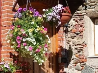 IMG_20250812_101216602.webp