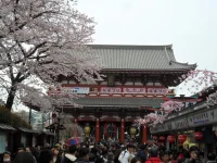 SAM_3538.webp