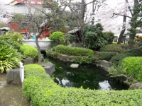 SAM_3554.webp