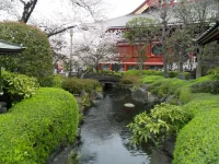 SAM_3565.webp