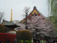 SAM_3570.webp