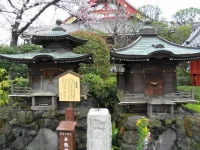 SAM_3566.webp