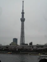 SAM_3576.webp