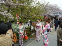 SAM_3579.webp