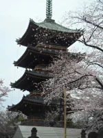 SAM_3612.webp