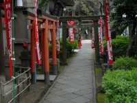 SAM_3596.webp