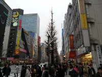 SAM_3639.webp