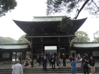 SAM_3661.webp