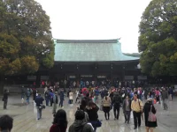 SAM_3662.webp