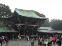 SAM_3669.webp