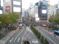 SAM_3715.webp
