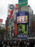 SAM_3689.webp