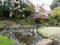 SAM_3787.webp