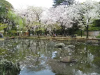SAM_3788.webp