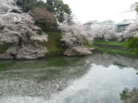 SAM_3751.webp