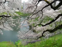 SAM_3754.webp