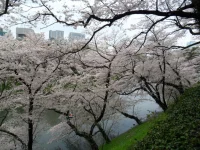 SAM_3769.webp