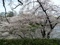 SAM_3770.webp