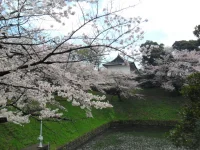 SAM_3752.webp