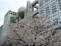 SAM_3802.webp